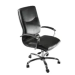 Poltrona Zeta Direzionale con Braccioli e Oscillante